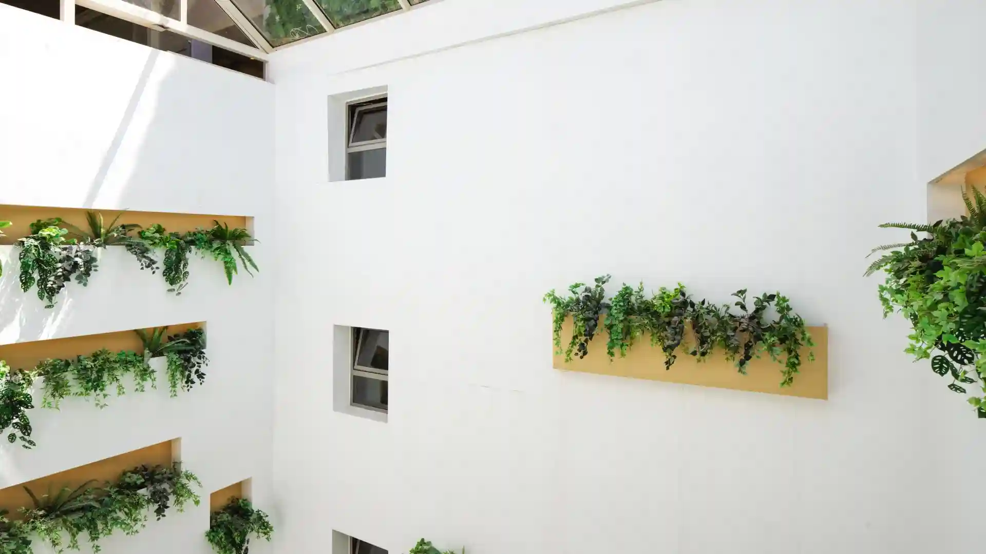 Standard Atrium Room