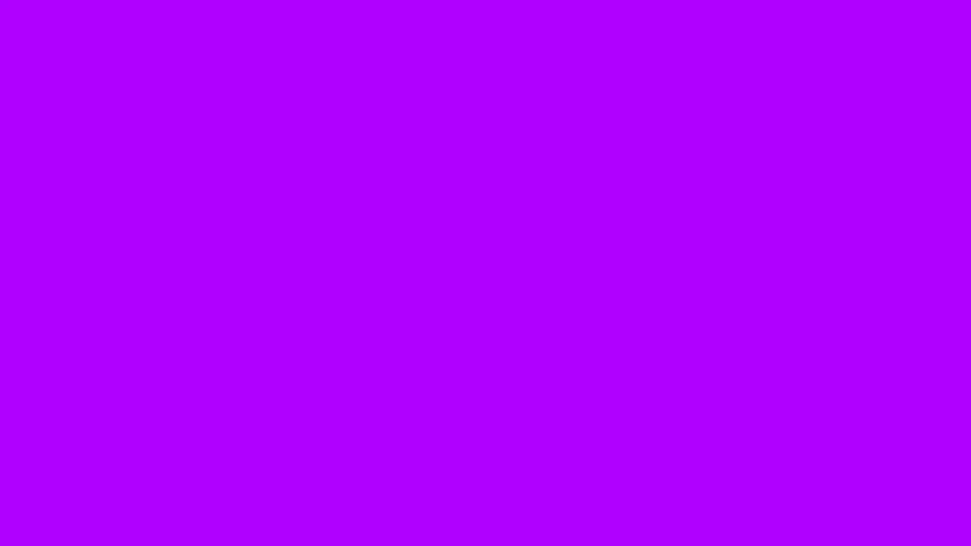 Photo Gallery Photo - violet.webp